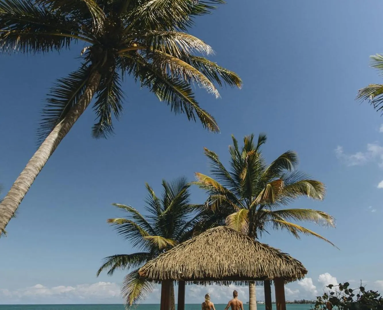 St. Regis Bahia Beach Resort, Puerto Rico Rio Grande 5*,